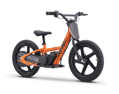 RFN DNA 16″ KIDSBIKES von 5-12 Jahren